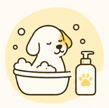 Body Clean & Care