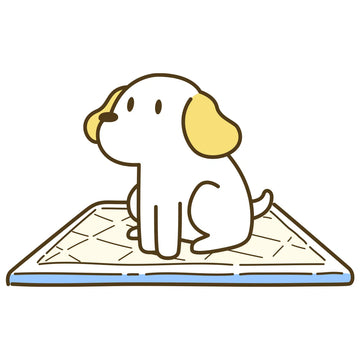 Pet Training Pads