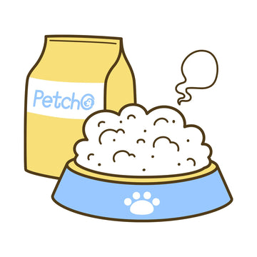 Pet Food & Feeder
