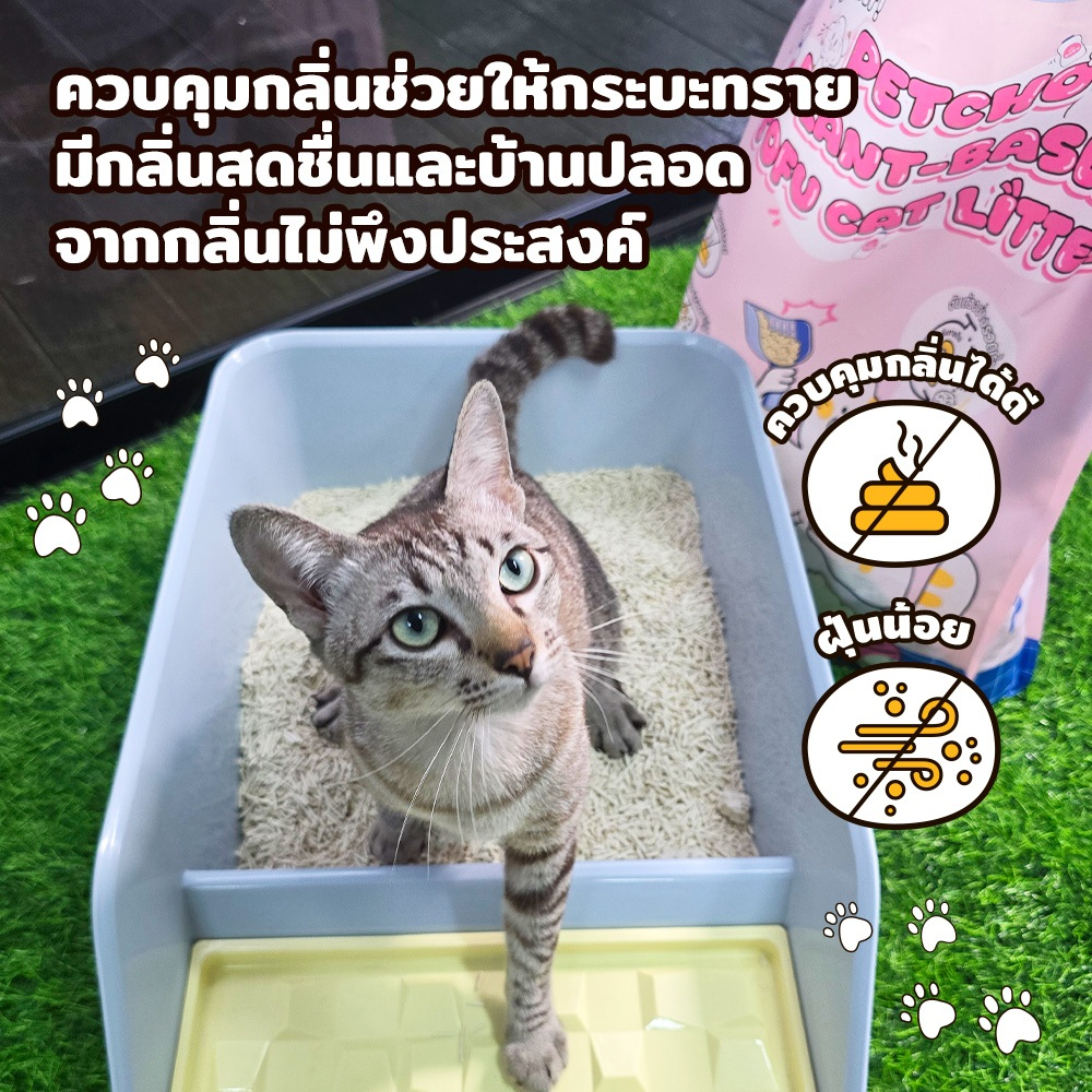 Petcho ทรายแมวเต้าหู้ สูตร Plant Based 2.0MM 20L/9.08KG