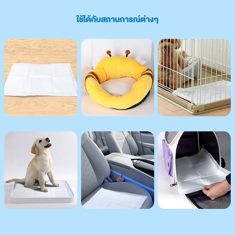 Petcho แผ่นฝึกขับถ่าย S/M/L