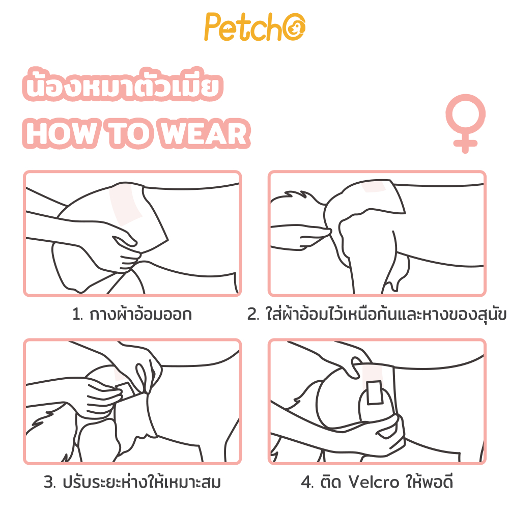 Petcho ผ้าอ้อมสุนัขเพศผู้แบบใช้แล้วทิ้ง XS-XL