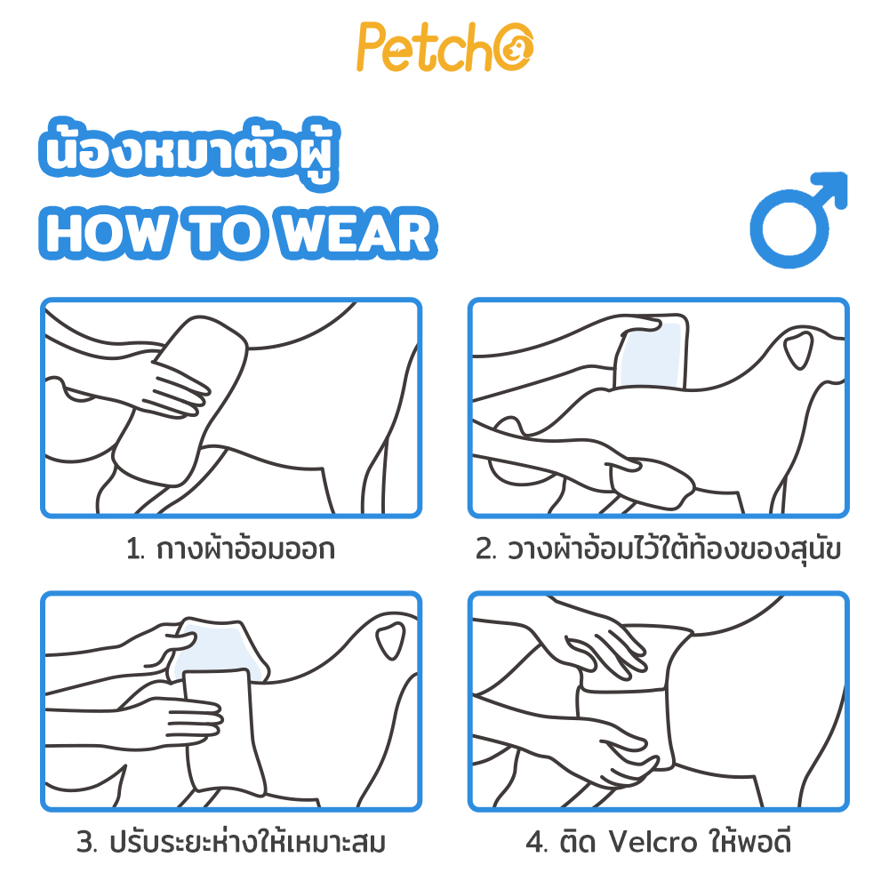 Petcho ผ้าอ้อมสุนัขเพศผู้แบบใช้แล้วทิ้ง XS-XL