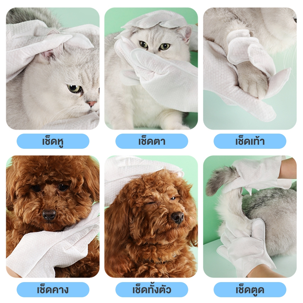Petcho ถุงมืออาบนํ้าแห้งสําหรับสัตว์เลี้ยง 6/8/10pcs