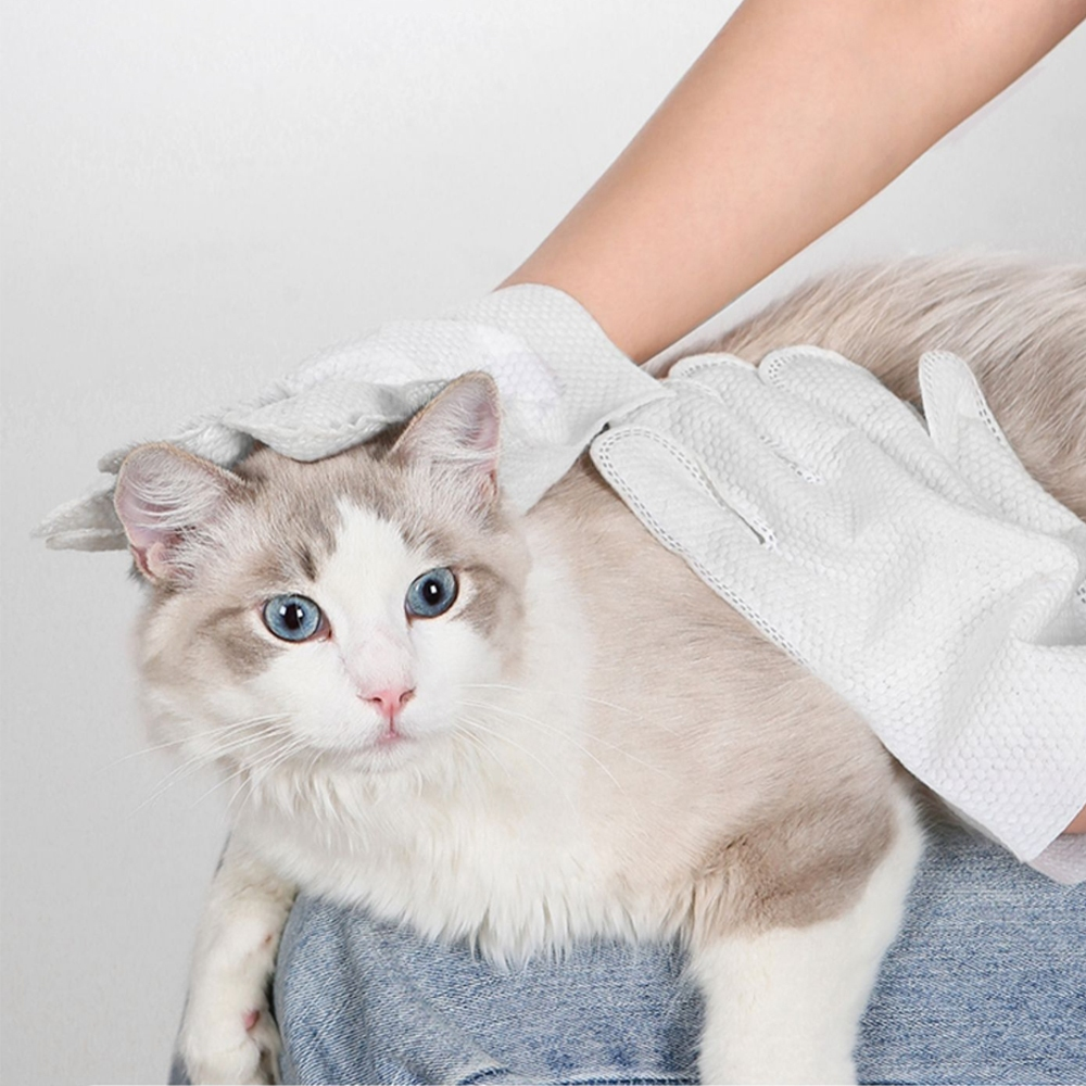 Petcho ถุงมืออาบนํ้าแห้งสําหรับสัตว์เลี้ยง 6/8/10pcs
