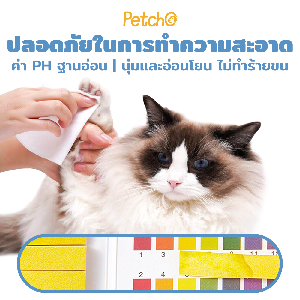 Petcho ผ้าเช็ดทําความสะอาดสัตว์เลียง 16x20cm/80pcs