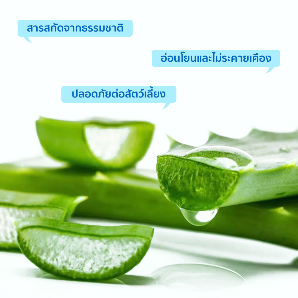 Petcho แผ่นเช็ดทําความสะอาดสัตว์เลียง 130/200pcs