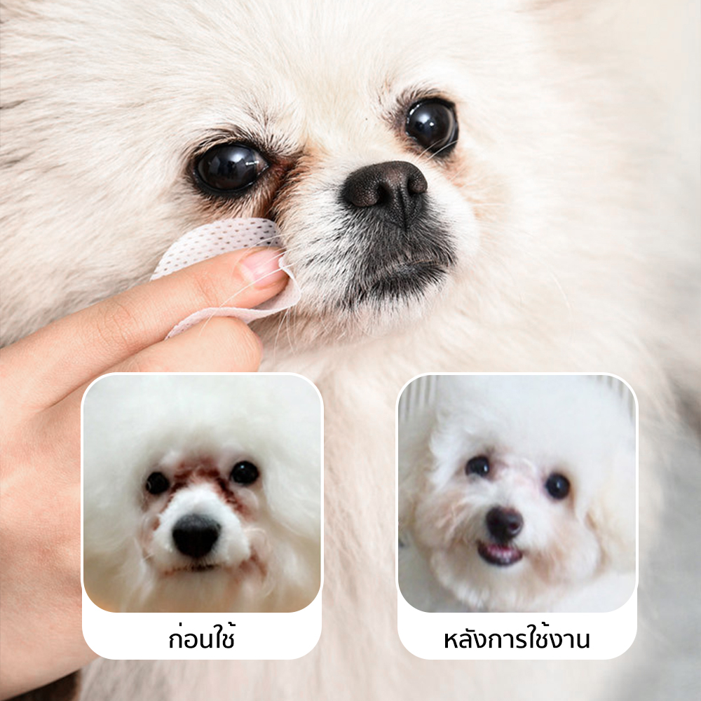 Petcho แผ่นเช็ดทําความสะอาดสัตว์เลียง 130/200pcs