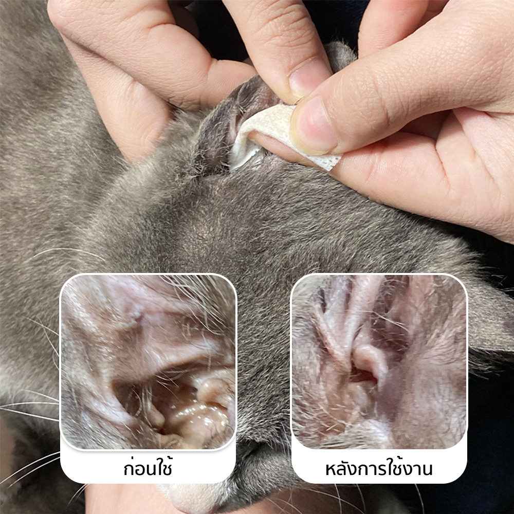 Petcho แผ่นเช็ดทําความสะอาดสัตว์เลียง 130/200pcs