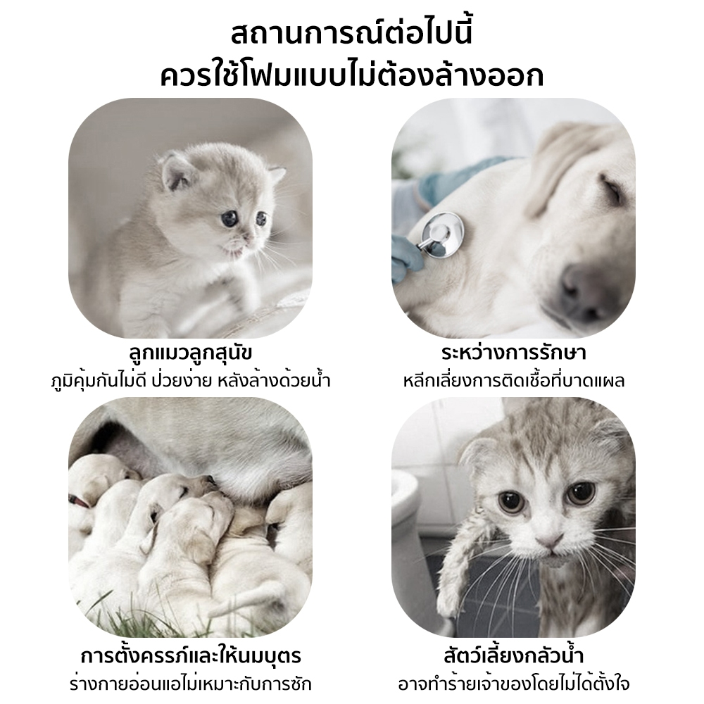 Petcho โฟมอาบนําแห้งสัตว์เลียง 200ml