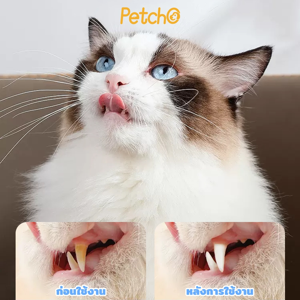 Petcho แปรงสีฟันสัตว์เลี้ยง นิ่ม แปรงง่าย