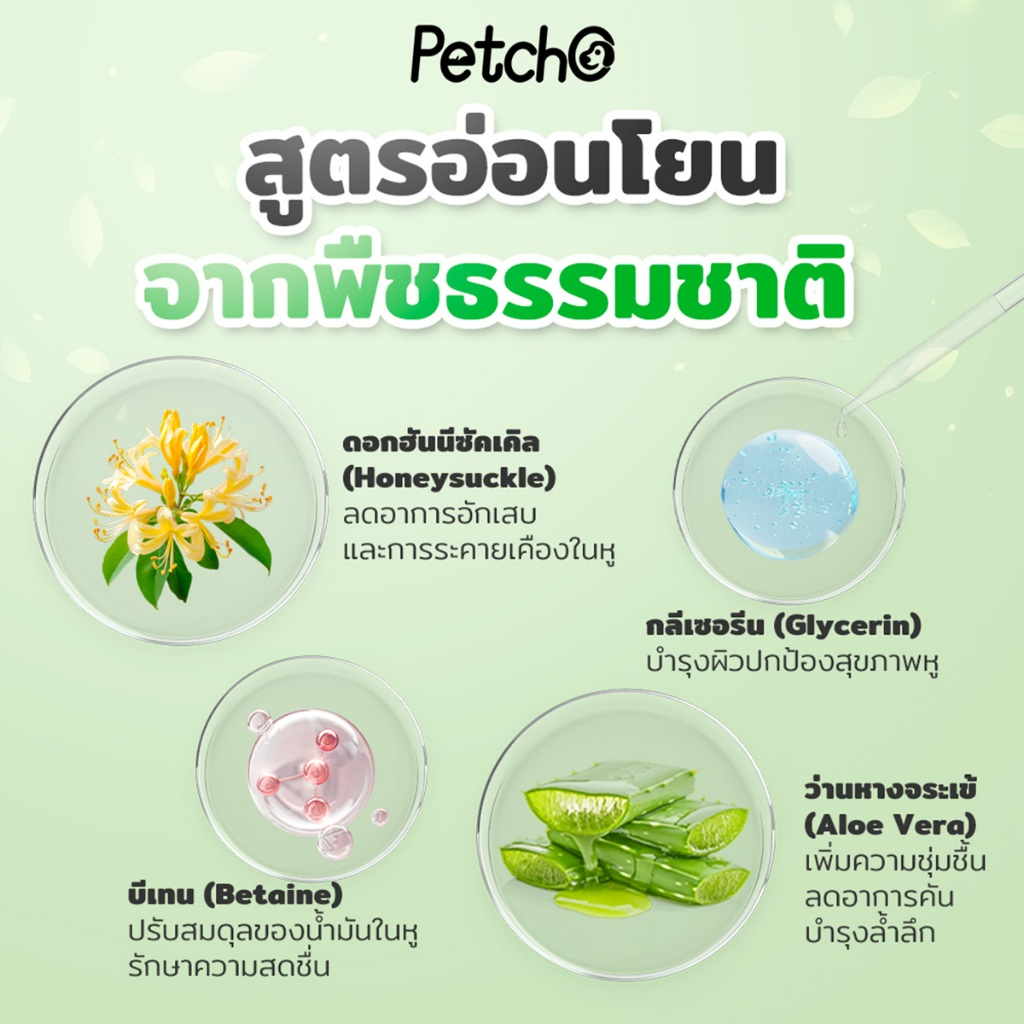 Petcho สำลีก้านเช็ดหูสัตว์เลี้ยง 20/50PCS