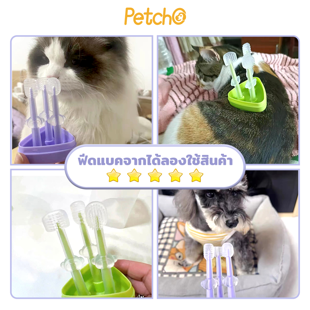 Petcho ปรงฟันสัตว์เลี้ยง ใน 1 กล่อง มีแปรงสีฟันให้ 3 แบบ