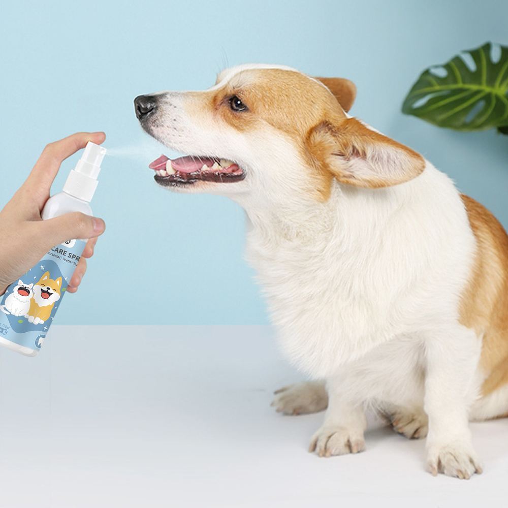 Petcho สเปรย์ฉีดช่องปากสัตว์เลี้ยง 100ml