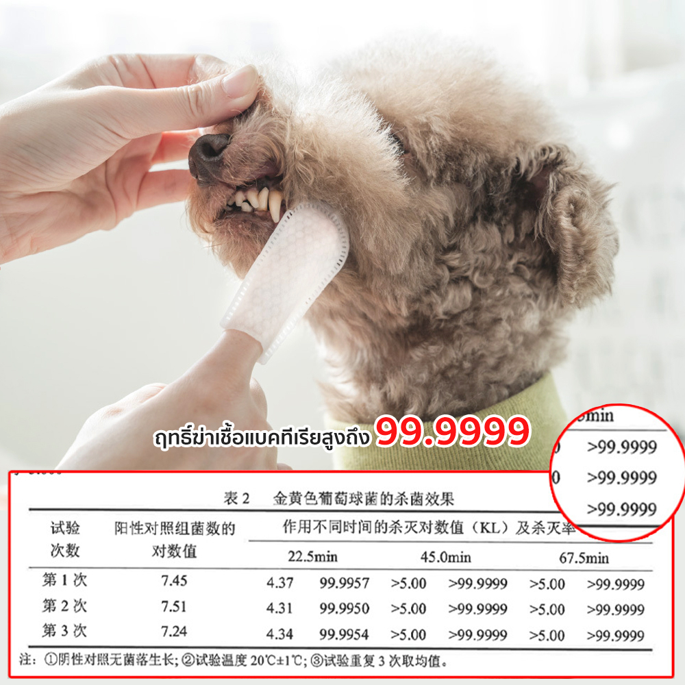Petcho ผ้าเช็ดทำความสะอาดฟันสัตว์เลี้ยง 50pcs