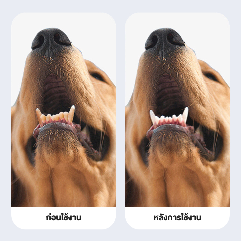 Petcho ผ้าเช็ดทำความสะอาดฟันสัตว์เลี้ยง 50pcs