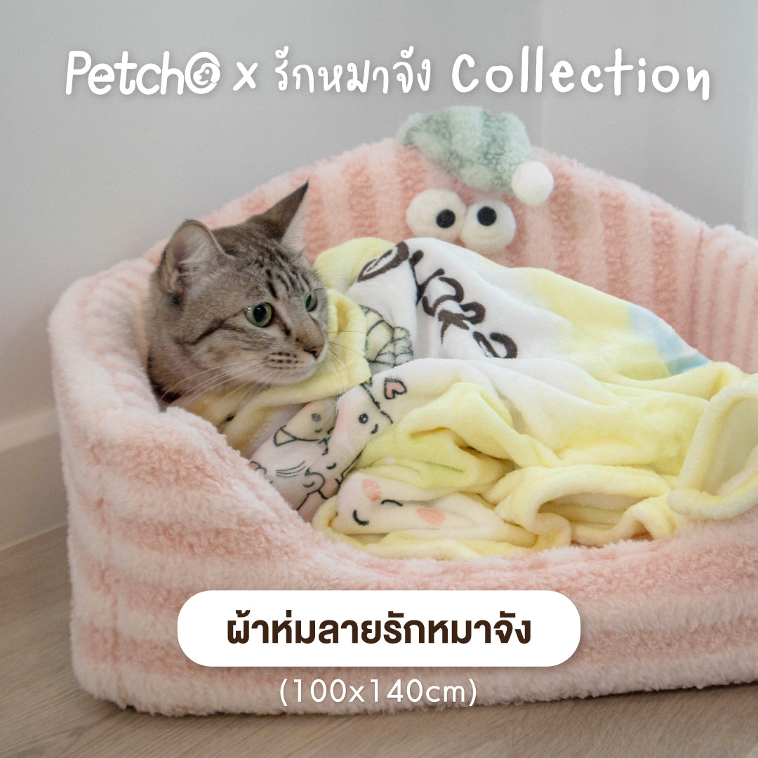 Petcho x รักหมาจัง Collection ผ้าห่มไมโคร + แก้วน้ำเก็บความเย็น เปลี่ยนบิลให้เป็นบุญ