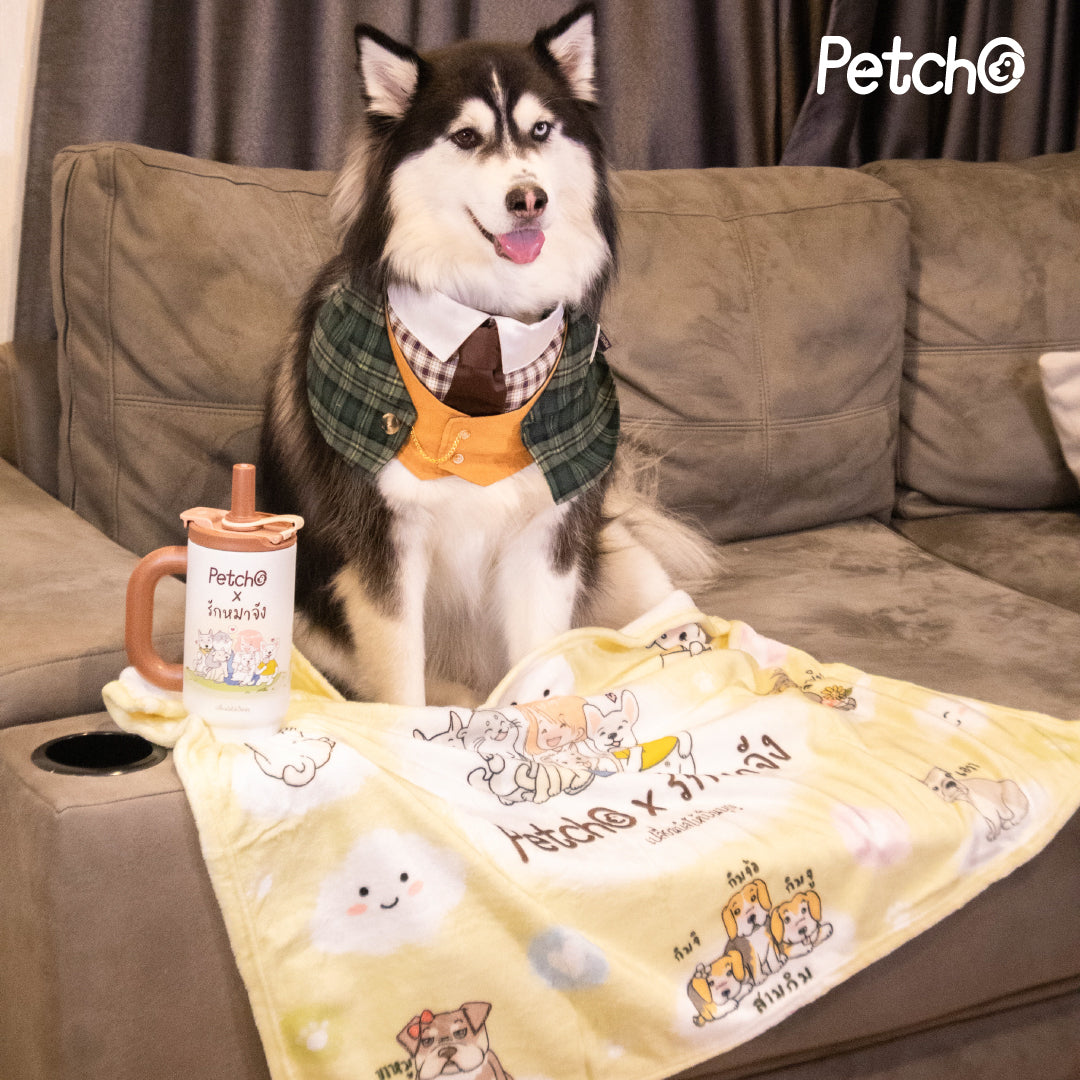 Petcho x รักหมาจัง Collection ผ้าห่มไมโคร + แก้วน้ำเก็บความเย็น เปลี่ยนบิลให้เป็นบุญ