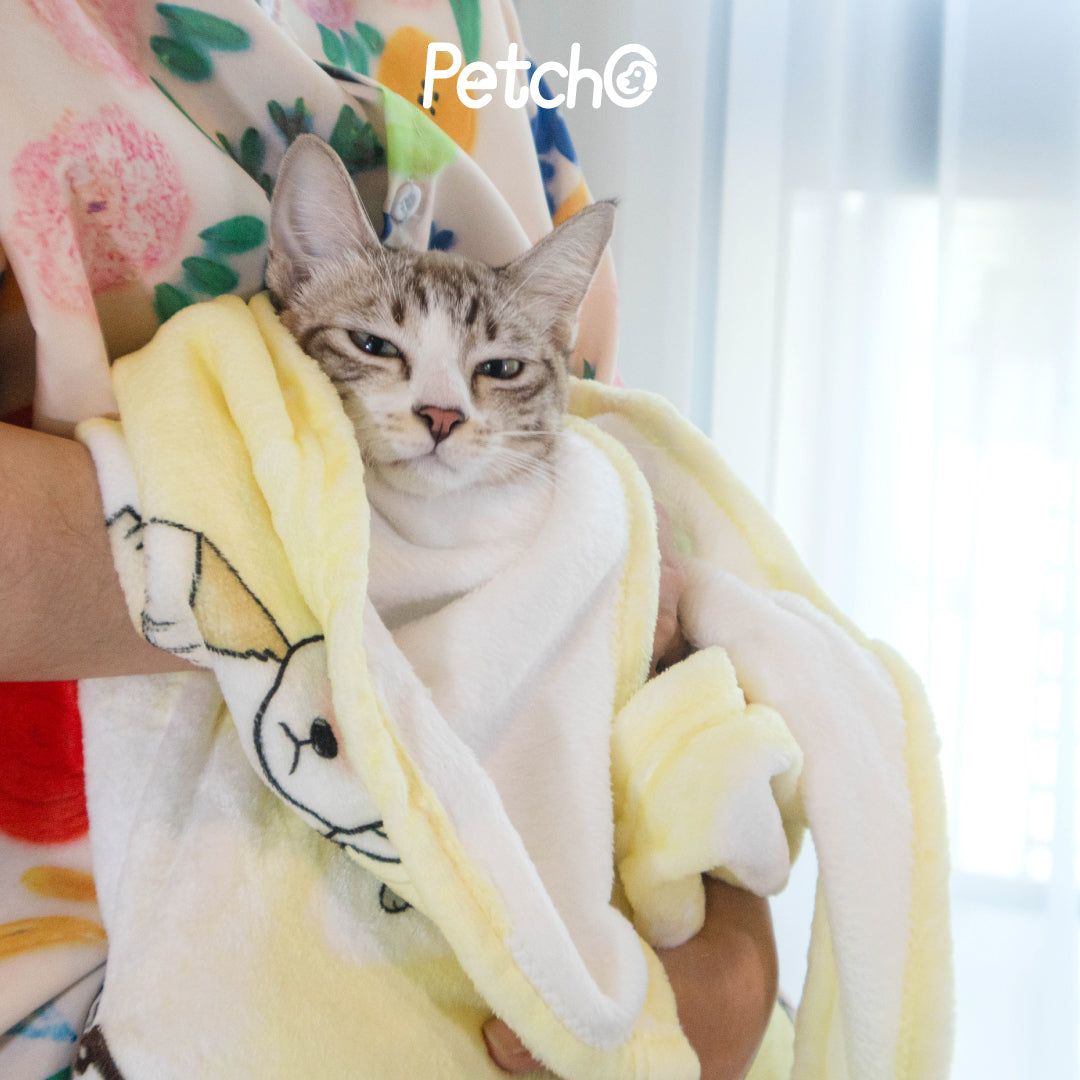 Petcho x รักหมาจัง Collection ผ้าห่มไมโคร + แก้วน้ำเก็บความเย็น เปลี่ยนบิลให้เป็นบุญ
