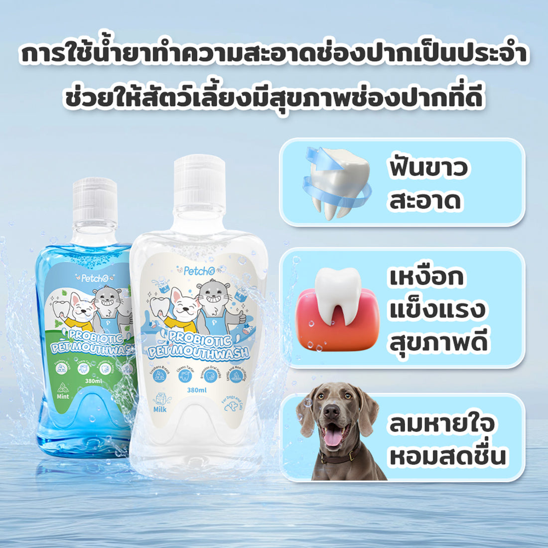 Petcho น้ำยาบ้วนปากสำหรับสัตว์เลี้ยง Probiotic 380ml