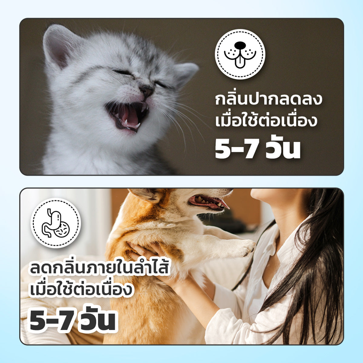 Petcho น้ำยาบ้วนปากสำหรับสัตว์เลี้ยง Probiotic 380ml