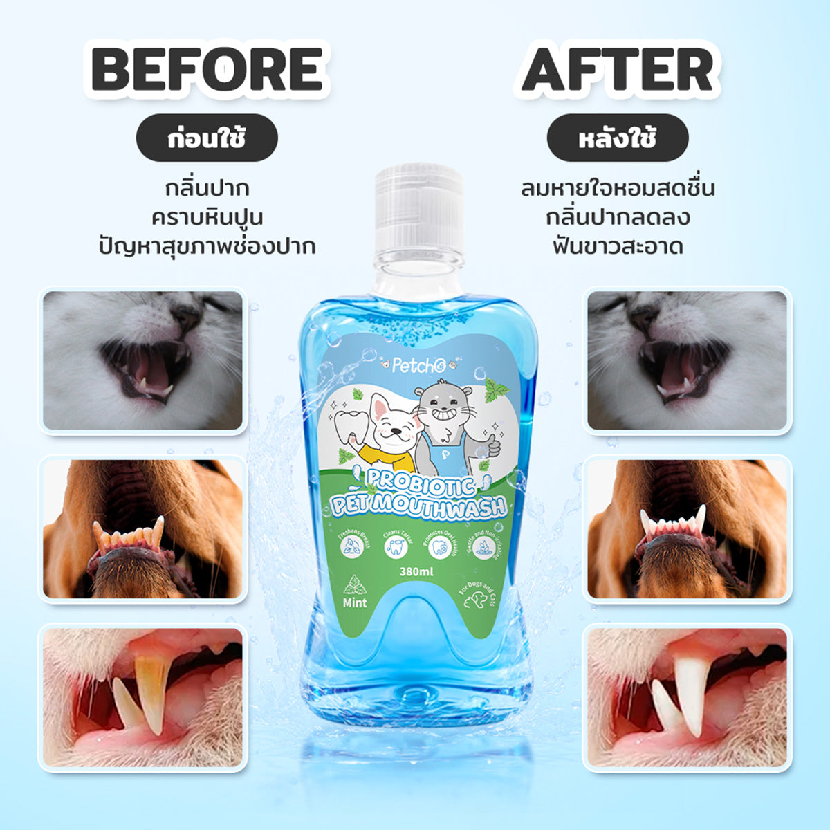 Petcho น้ำยาบ้วนปากสำหรับสัตว์เลี้ยง Probiotic 380ml