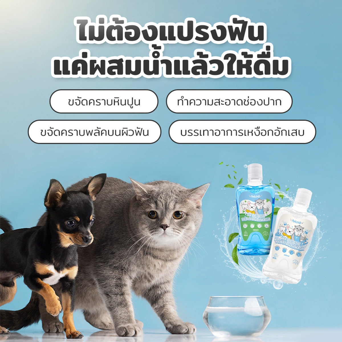 Petcho น้ำยาบ้วนปากสำหรับสัตว์เลี้ยง Probiotic 380ml