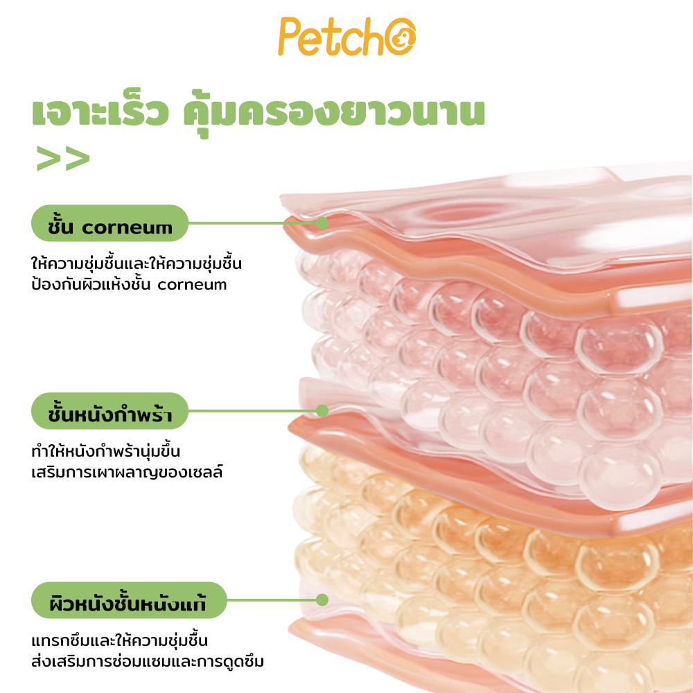Petcho บาล์มบำรุงอุ้งเท้าสัตว์เลี้ยง 15g