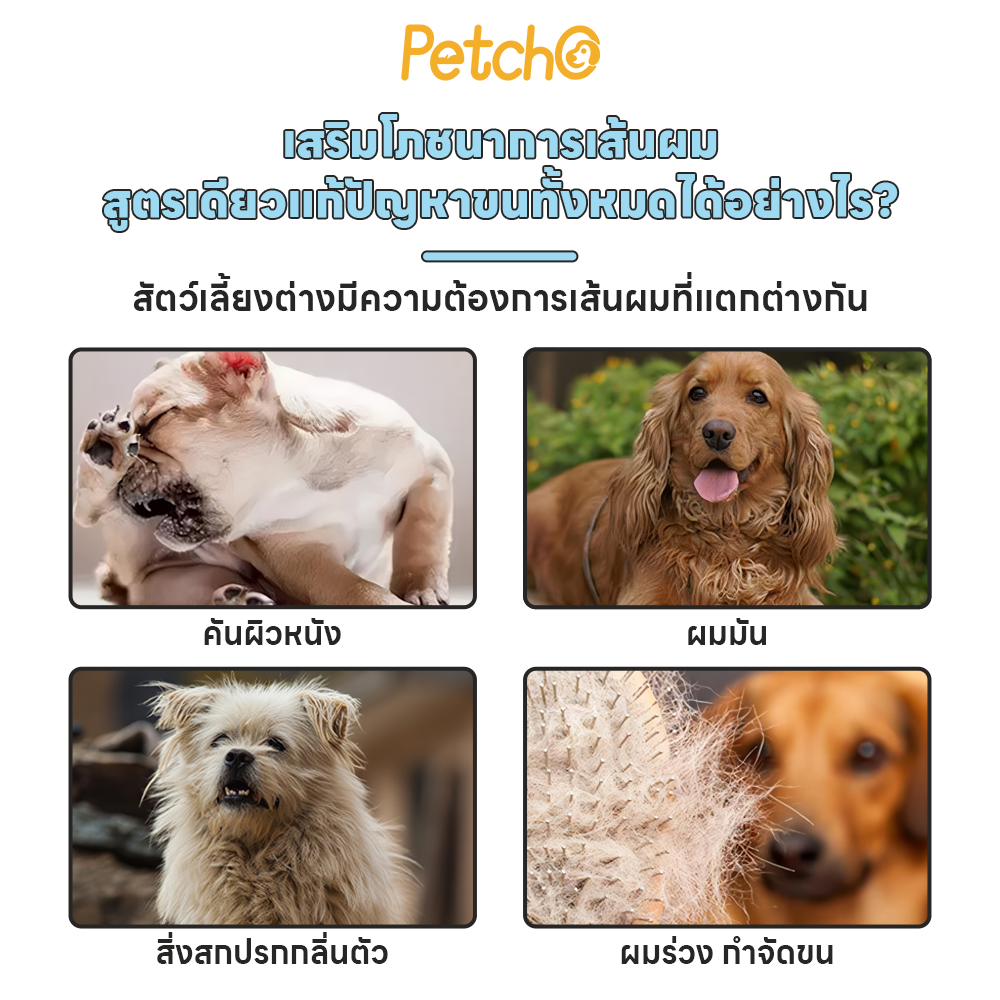 Petcho แชมพูสุนัข อ่อนโยน 100/300ml