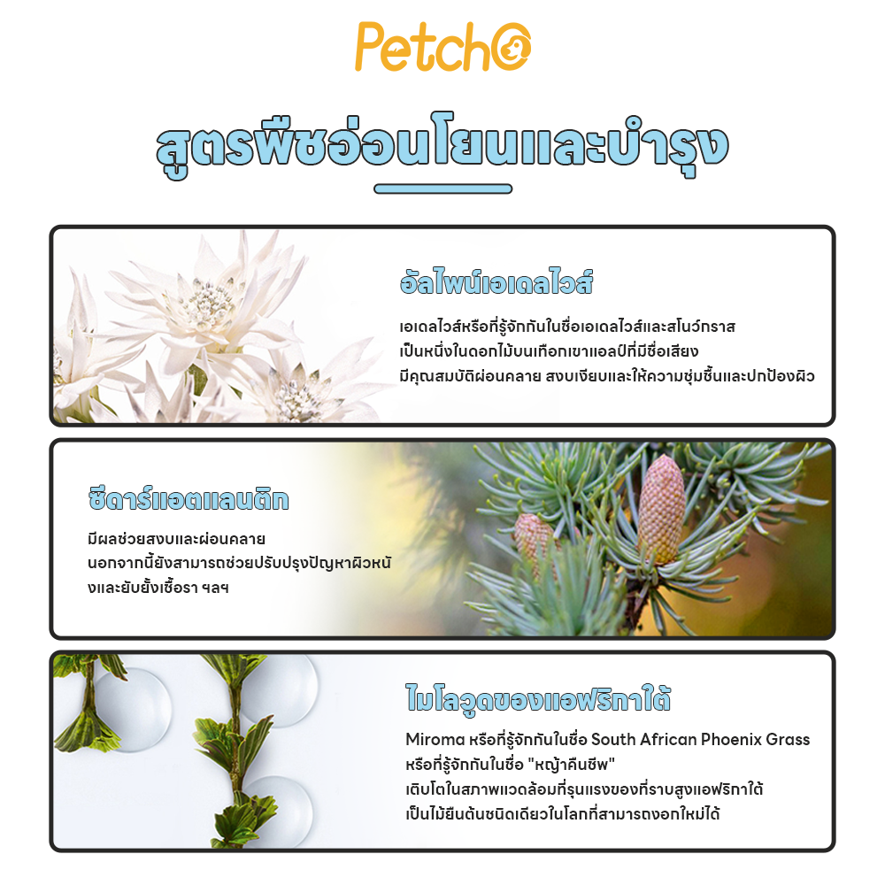 Petcho แชมพูสุนัข อ่อนโยน 100/300ml
