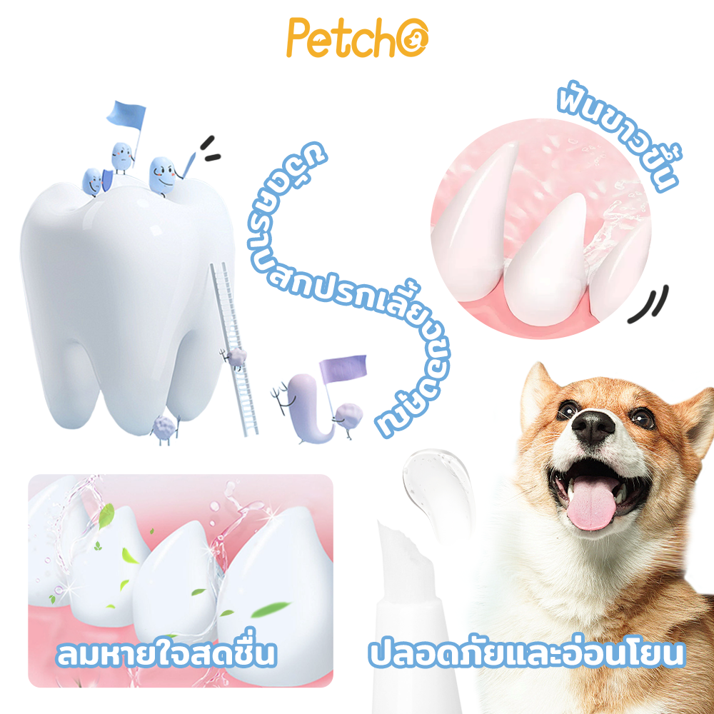 Petcho 2in1 ปากกาแปรงสีฟัน คลีนซิ่ง & ไวท์เทนนิ่ง