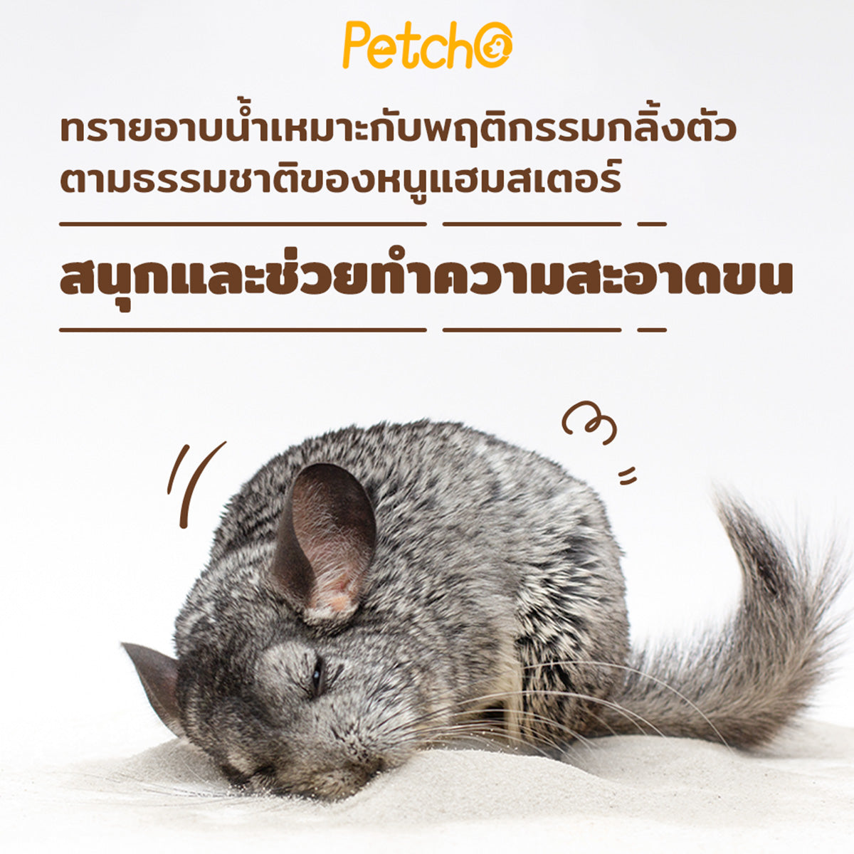 Petcho ทรายอาบน้ำสำหรับแฮมสเตอร์ 0.01 mm