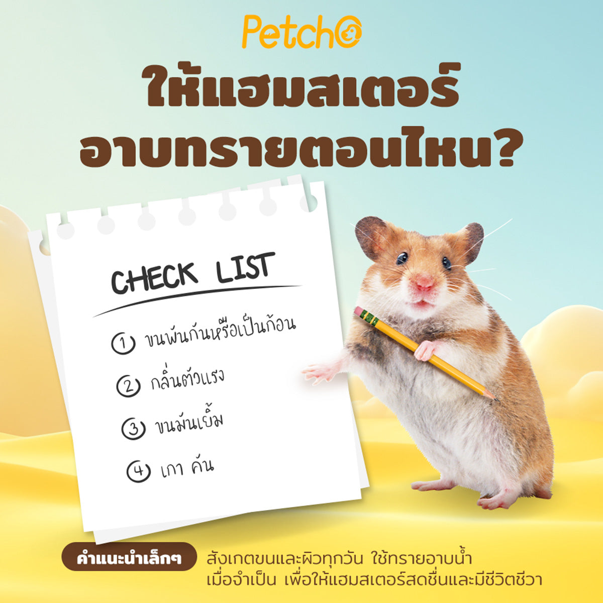 Petcho ทรายอาบน้ำสำหรับแฮมสเตอร์ 0.01 mm
