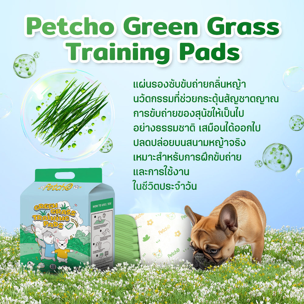 Petcho แผ่นฝึกขับถ่ายกลิ่นหญ้า S/M/L