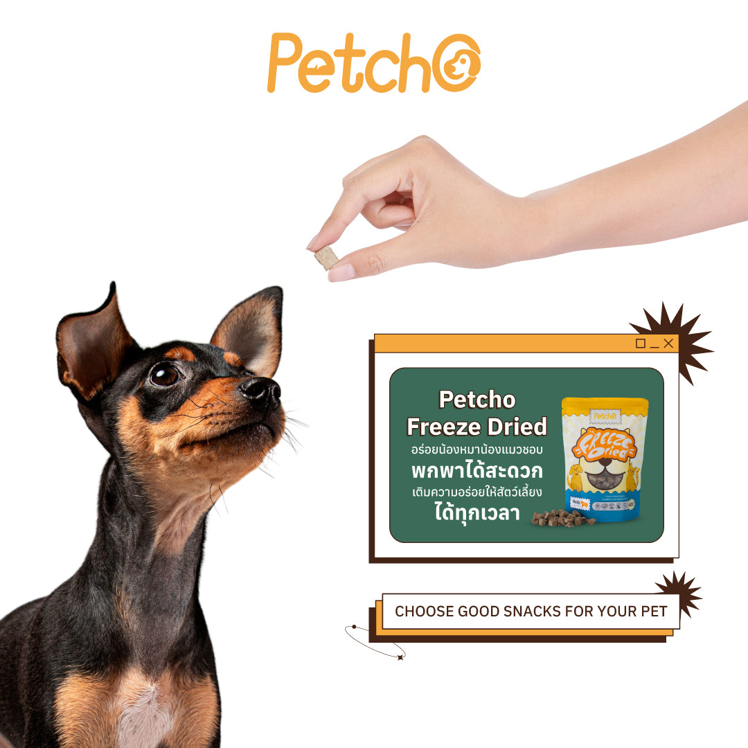 Petcho ขนมฟรีซดรายสําหรับสัตว์เลี้ยง 40g