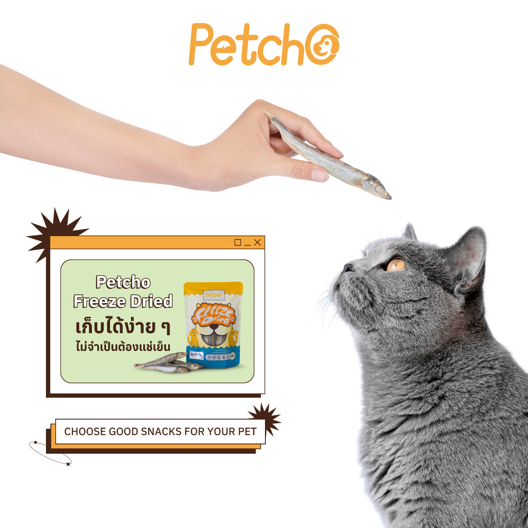 Petcho ขนมฟรีซดรายสําหรับสัตว์เลี้ยง 40g