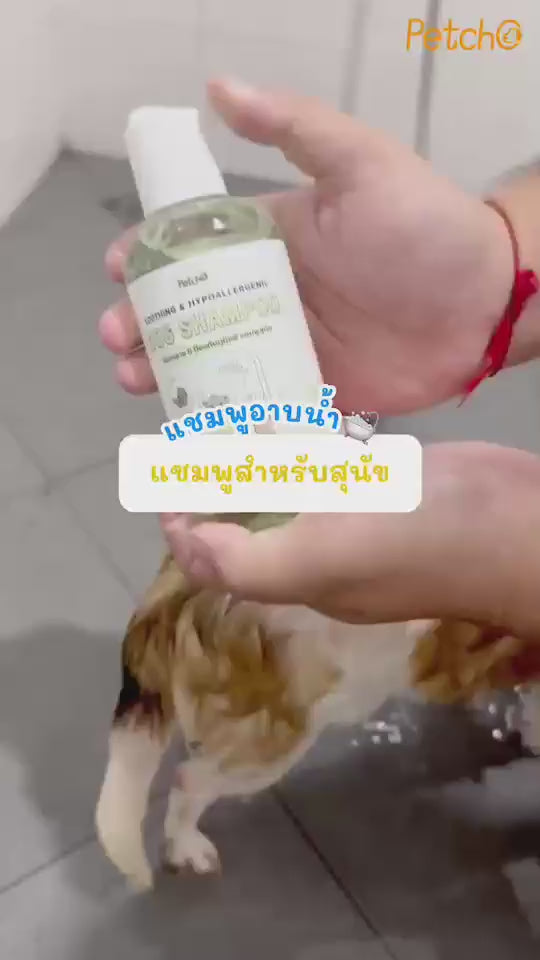 Petcho แชมพูสุนัข อ่อนโยน 100/300ml