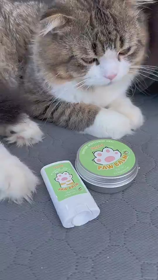 Petcho บาล์มบำรุงอุ้งเท้าสัตว์เลี้ยง 15g